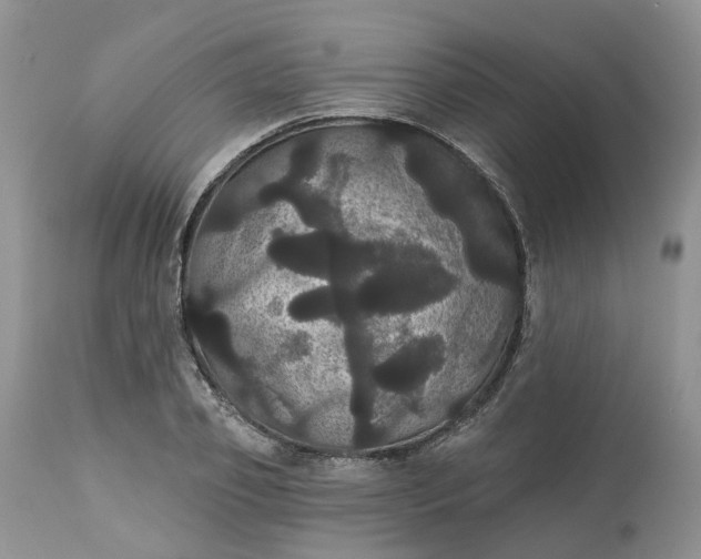 X0000113060933200909110911