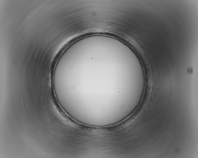 X0000113060934200909110911