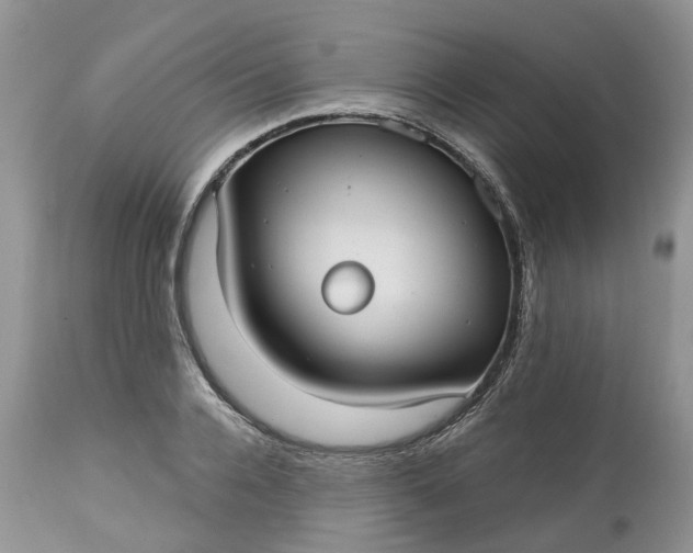 X0000113060936200909110911