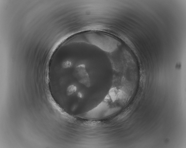 X0000113060939200909110911
