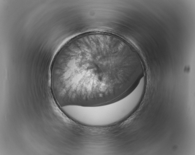X0000113060940200909110911
