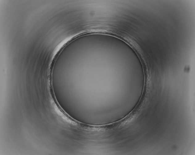 X0000113060941200909110911