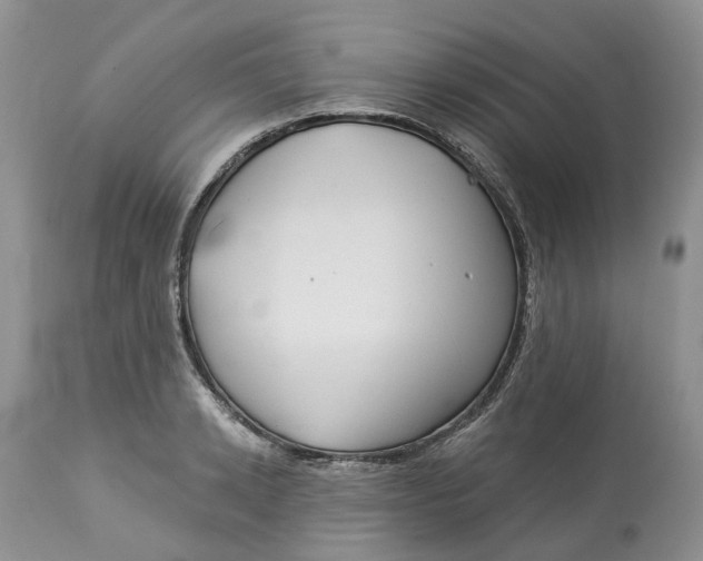 X0000113060942200909110911