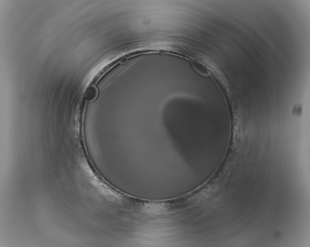 X0000113060944200909110911