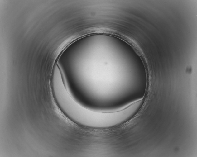 X0000113060946200909110911