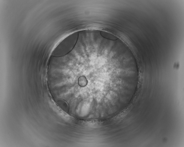 X0000113060948200909110911