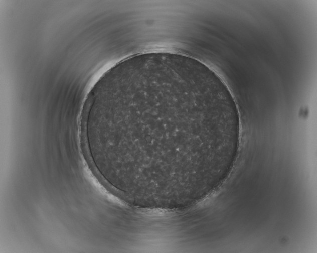 X0000113060949200909110911
