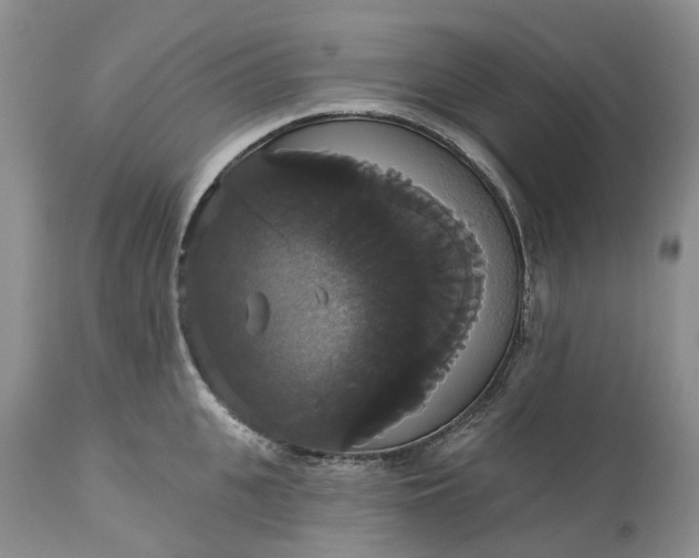 X0000113060951200909110911