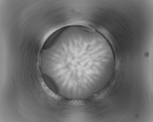 X0000113060952200909110911
