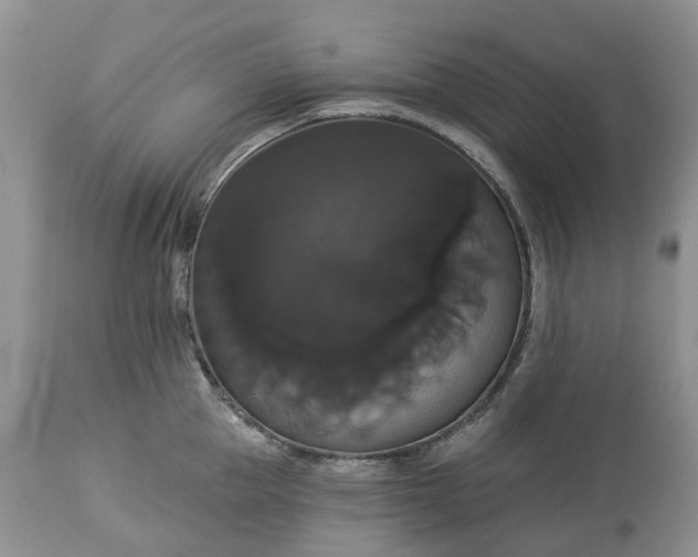 X0000113060953200909110911