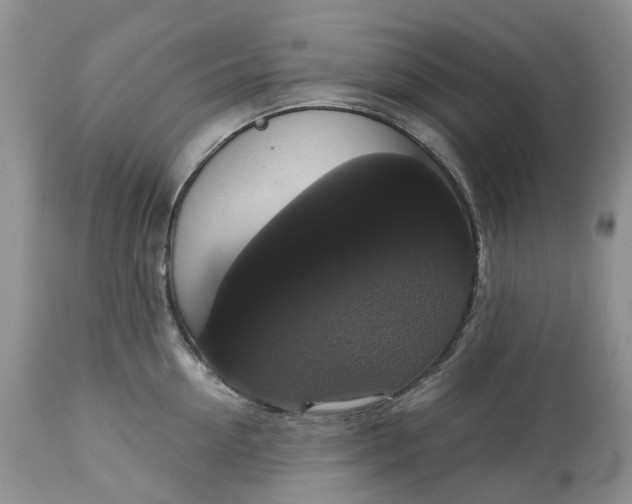 X0000113060954200909110911