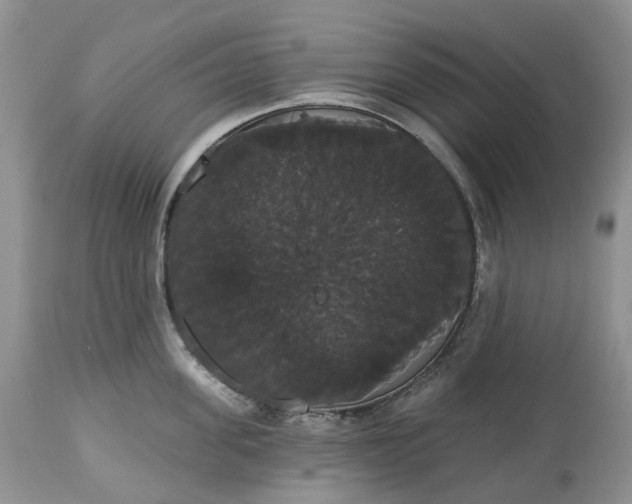 X0000113060955200909110911