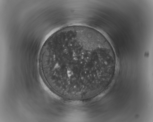 X0000113060957200909110911