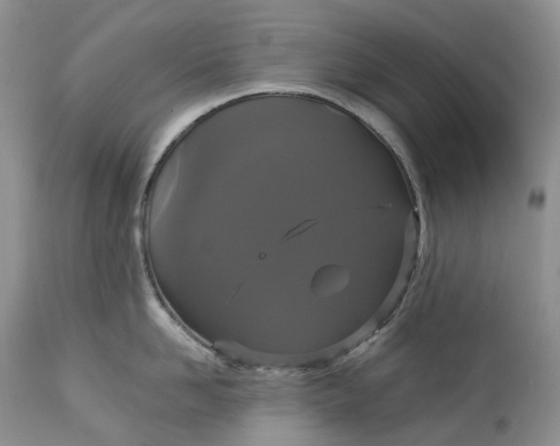 X0000113060958200909110911