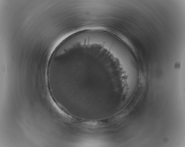 X0000113060959200909110911