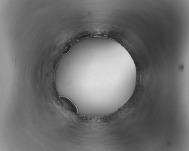 X0000113060961200909110910