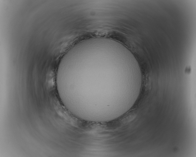 X0000113060962200909110910