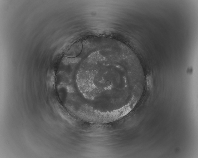 X0000113060963200909110910