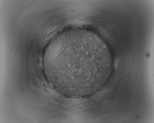 X0000113060964200909110910