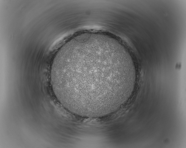 X0000113060967200909110910