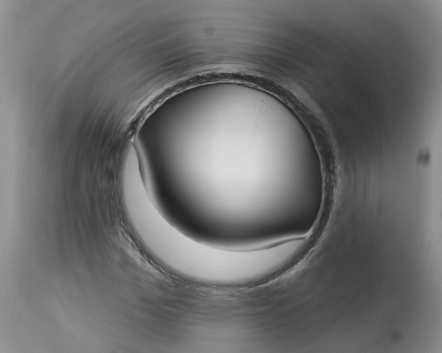 X0000113060969200909110910