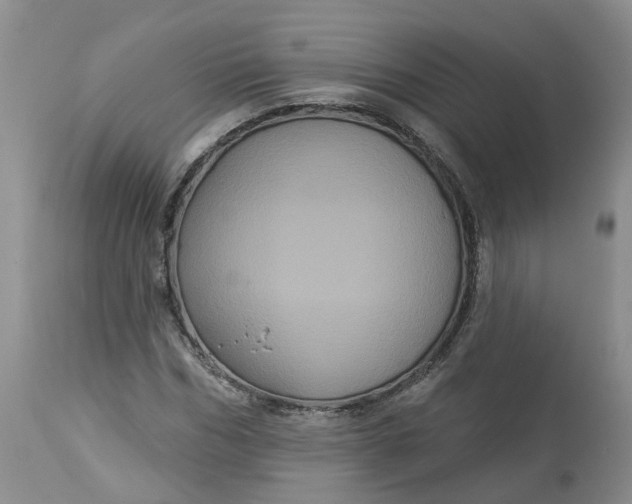 X0000113060970200909110910