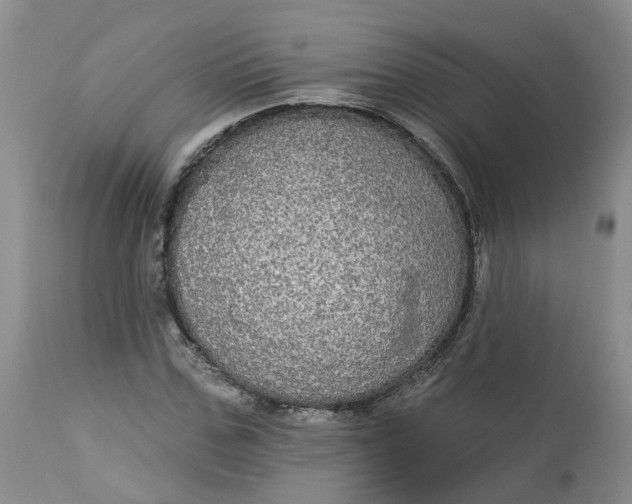 X0000113060971200909110910