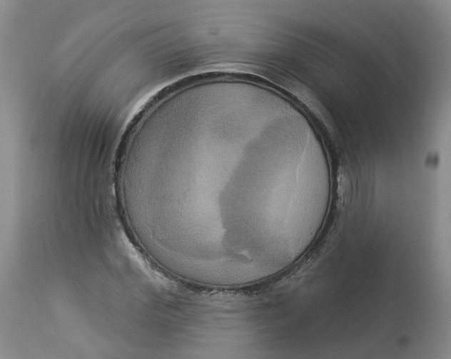X0000113060972200909110910