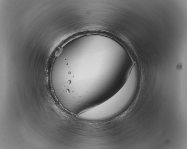 X0000113060973200909110910