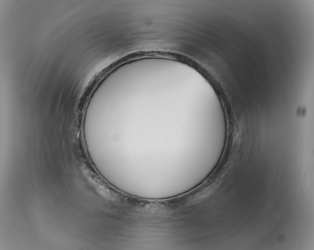 X0000113060974200909110910