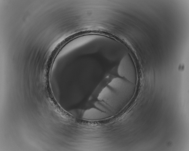 X0000113060975200909110910