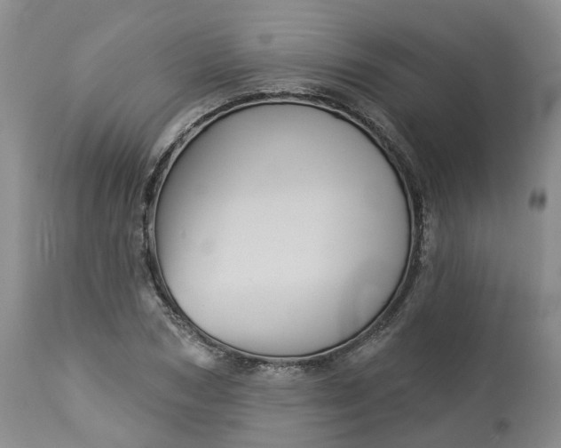 X0000113060978200909110910