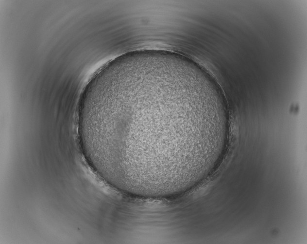 X0000113060979200909110910
