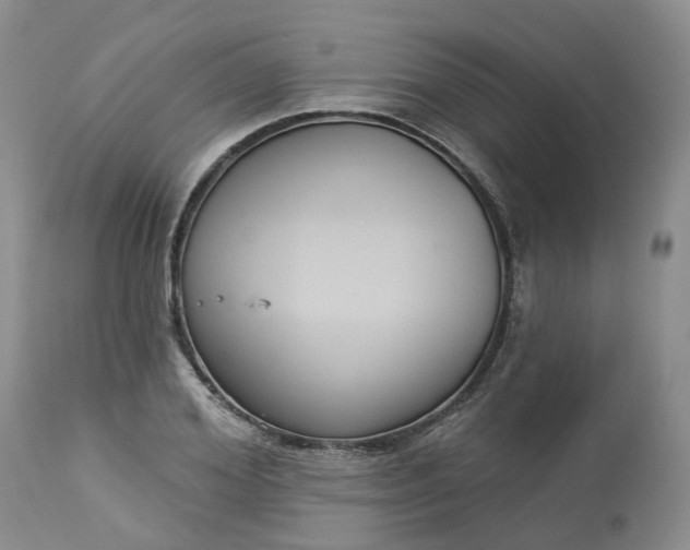 X0000113060980200909110910