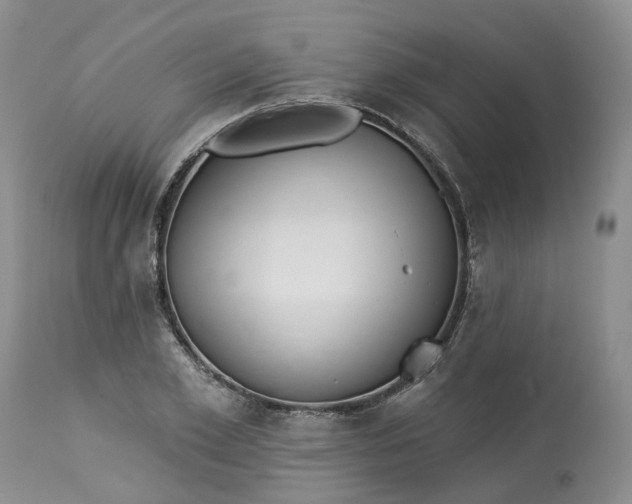 X0000113060981200909110910