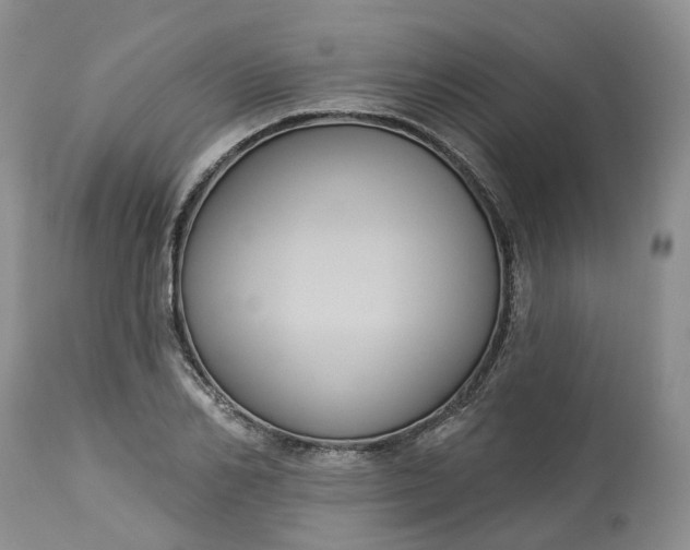 X0000113060982200909110910