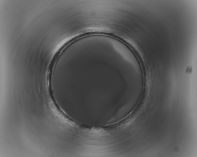 X0000113060983200909110910