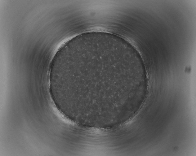 X0000113060987200909110910