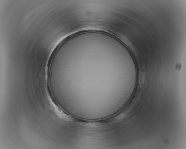 X0000113060988200909110910