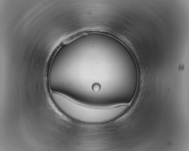 X0000113060989200909110910