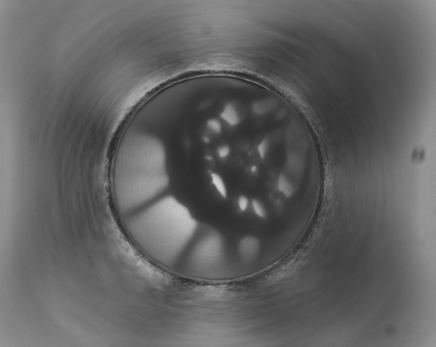 X0000113060990200909110910