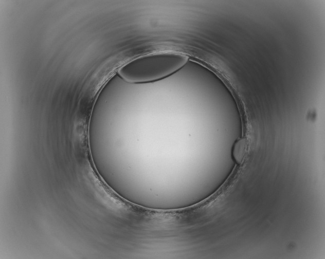 X0000113060993200909110910