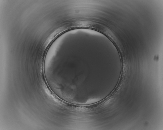 X0000113060994200909110910