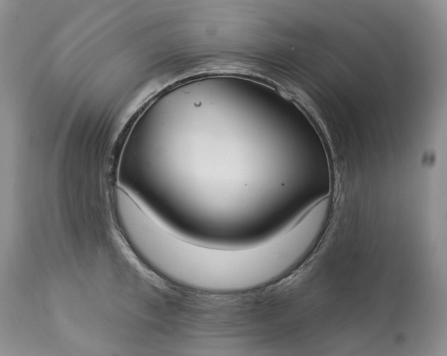 X0000113060997200909110910