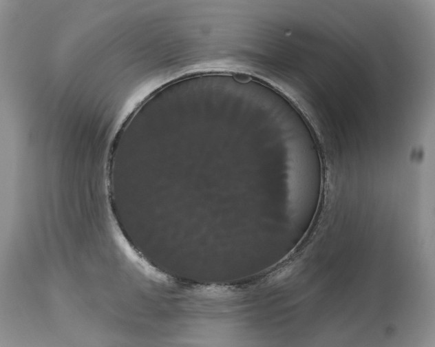 X0000113060998200909110910