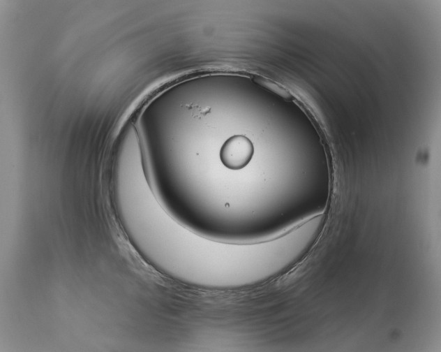 X0000113061000200909110910