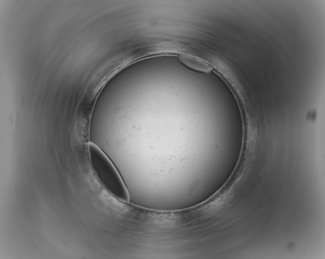 X0000113061001200909110910