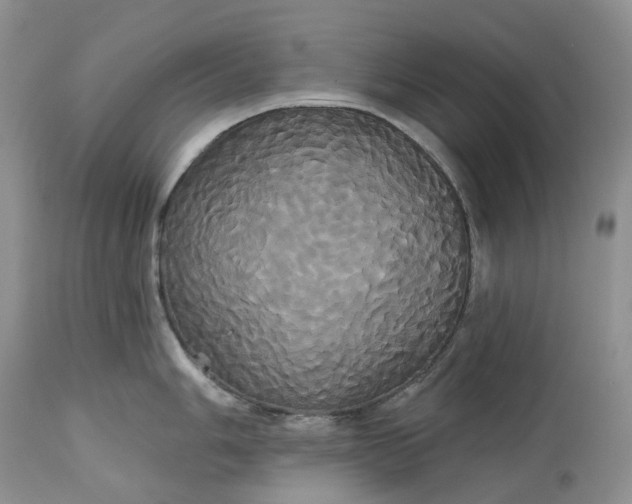 X0000113061006200909110910