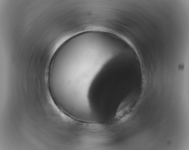X0000113061007200909110910