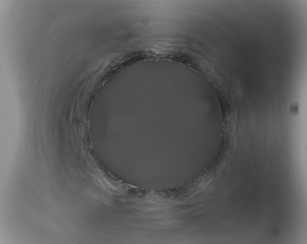 X0000113061009200909110909